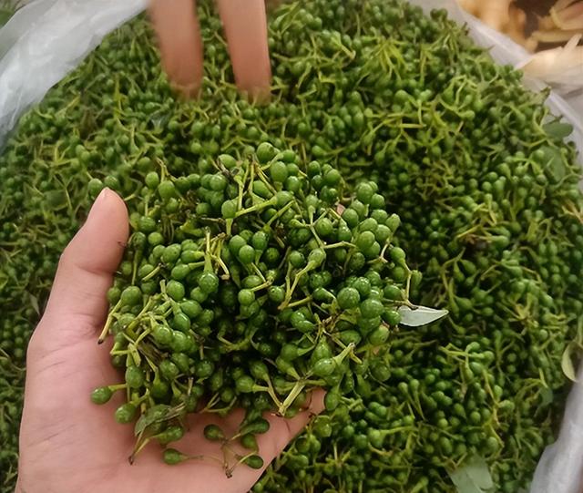 木姜子 木姜子油_品学知识网