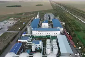 丝路对话| 赴哈萨克斯坦“种地”150万亩，西安爱菊粮油是怎么做到的？图片