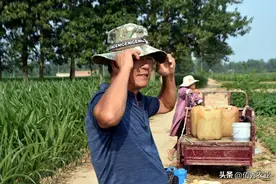 被低估的杀虫剂，以杀卵见长，有“麻醉”功能的虱螨脲，你会用吗图片