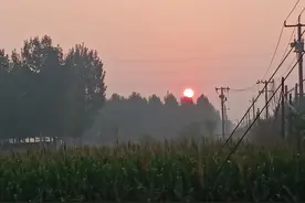 选择继续创业，还是出去打工？处于两难境地，不知何去何从图片