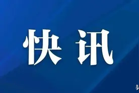 南阳市将开展“僵尸企业”养老保险欠费核销工作图片