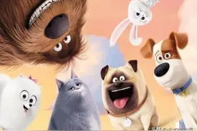 《爱宠大机密》非常好看的宠物动画电影图片