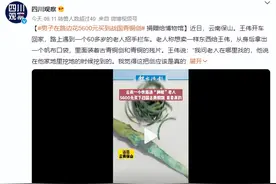 男子路边花5600元买到战国青铜剑：了解到贩卖文物要获刑 便捐了图片
