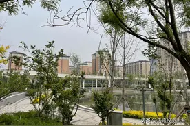 算力之王浪潮业绩意外暴雷让投资人心头一紧，背后的真相图片