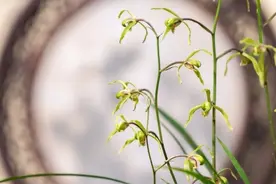 人到中年，以安静的心对待生活，以淡然从容的姿态走过余生图片