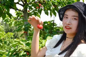 金堂又新车厘子熟啦！又红又大又甜图片