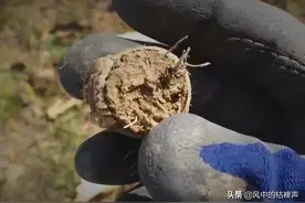 男子野外锄地挖到一块石头，带回家洗净砸开，有人出价50万图片