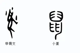 说文解字：十二生肖“鼠”图片