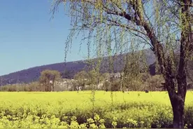 我那年回农村，和女邻居阿桃的难忘经历图片