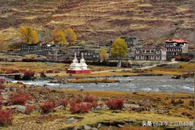 若有来生，可有来生？图片