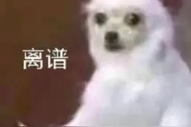 流行无语表情包图片
