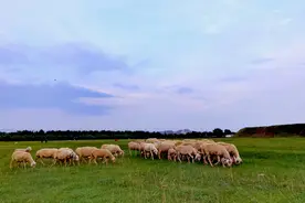 内蒙古大部降水持续 东部局地迎大到暴雨图片