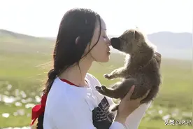 2010年，女孩救下狼王之子，养大送归森林，10年后相遇令人泪目图片