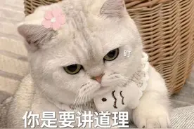 可爱表情包大全整理分享图片