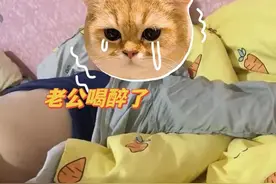 男子酒后吐真言，声称还爱着前女友，妻子：他喝多了图片