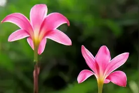 遇到人品很差的人，不要翻脸，要学会以下几种自保的方法图片