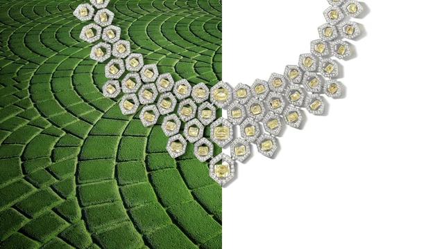 ����������鱦�е�������