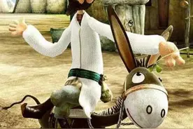 尴尬的小毛驴儿图片