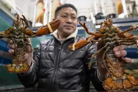 价格大涨！龙年对吃它情有独钟！ 一天能卖8000只图片