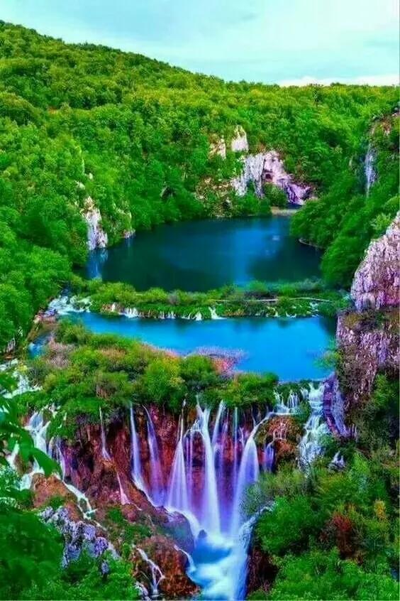 漂亮的花草图片大全集(漂亮花草图片大全大图)-措必培