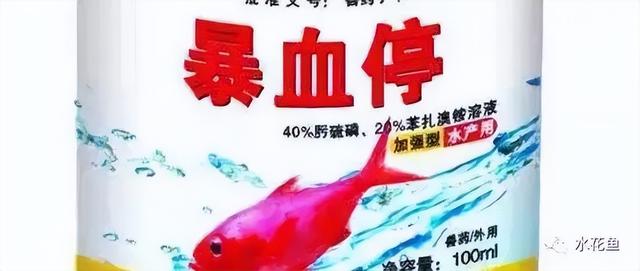 简析疑难杂症——鱼类败血症的防控：难治的集多症状于一身的鱼病