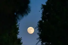 全网最好看风景头像，成功人士头像，成熟男人头像图片