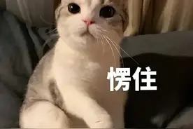 二轮摩托车违规掉头，结果“砰”！图片