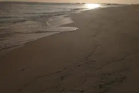 低级的欲望放纵即可获得，高级的欲望靠的是自律图片