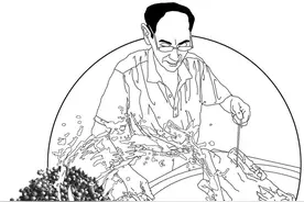 香料知识：芫荽俗称香菜，原来它的果实芫荽籽才是真正的膳食香料图片