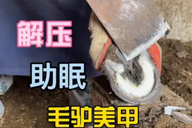 修驴蹄、抠藤壶、背香蕉，为什么年轻人热衷于刷这类视频？图片