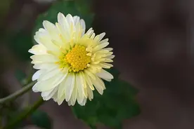 男女间的“捅破窗户纸”，往往是从这些“话”开始的，很真实图片