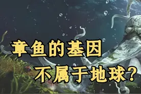 基因实验的可怕真相 章鱼的逆天进化 基因锁拯救了人类 ？图片