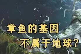 基因实验的可怕真相 章鱼的逆天进化 基因锁拯救了人类 ？图片