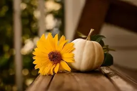 关系再好，也别让亲戚住在家里，这不是薄情，而是聪明图片