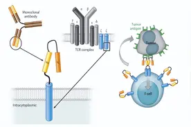 新技术新业务科普：Car-t细胞治疗白血病图片