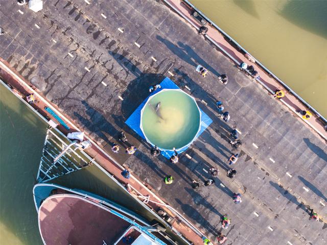 总书记关切事丨以奋斗之笔 答硬核之卷