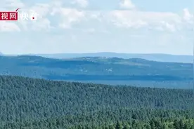 「美丽中国·网络媒体生态行」红花尔基：守护绿色青山 织牢万顷松涛图片