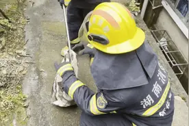 蝮蛇、眼镜蛇、银环蛇！湖南毒蛇咬人事件频发，该打死还是放生？图片