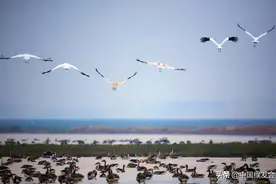 鄱阳湖水利枢纽“为”生态还是“伪”生态？亦或开发与保护之争？图片