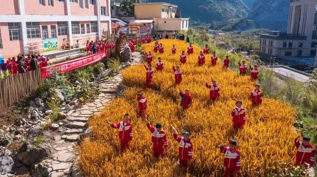 ˮ�����ڶ�Сѧ��ɽУ����չ����������֡�����