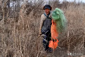 66岁老人黄河里抓鱼30年，寒冬里带仨徒弟破冰下网，看看抓了几条图片