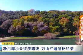 秋日静美净月潭：净月潭小众徒步路线 万山红遍层林尽染图片