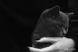 作一个简短的自我介绍图片