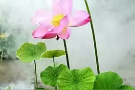 100万买入五大国有银行，股息率6%，持有10、20、30年结果如何图片