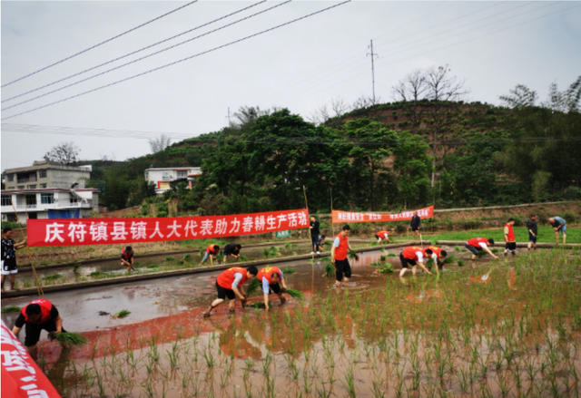四川省民生研究会新媒体中心-官网