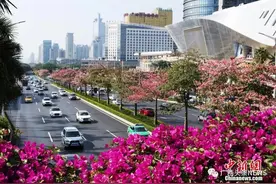 广西17个县市争创全国文明城市，你最看好哪个？图片