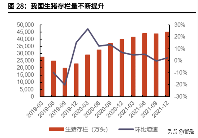 新和成研究报告：从维生素龙头逐渐成长为精细化工龙头