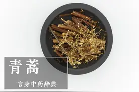 青蒿（清虚热药）图片