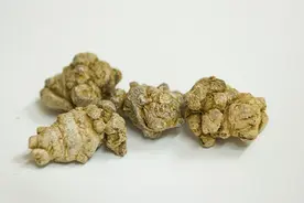 58岁阿姨每天一勺三七粉，后来咋样了？能否长期用？认清4种后果图片