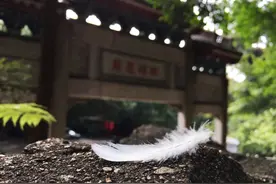 游白云山：出本无心归亦好，白云还似望云人图片